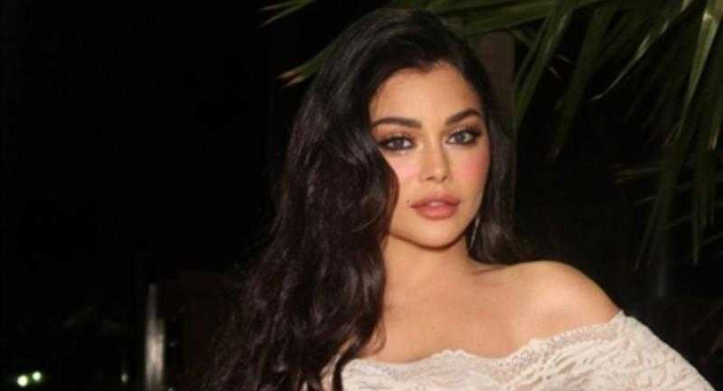 هيفاء وهبي تثير الجدل بسعر إطلالتها الأخيرة