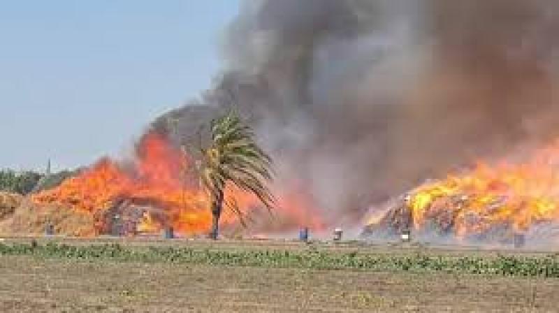 حريق شونة
