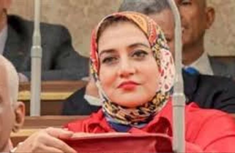 النائبة الدكتورة حنان عبده عمار