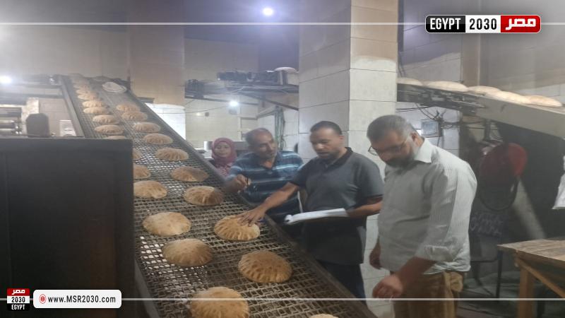 محافظة كفر الشيخ