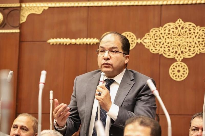النائب عادل اللمعي، عضو مجلس الشيوخ