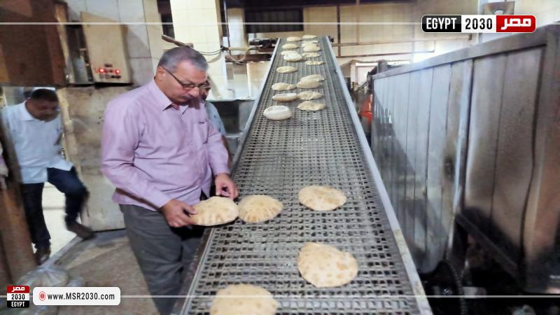 محافظة كفرالشيخ