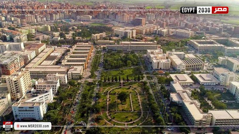 جامعة المنصورة