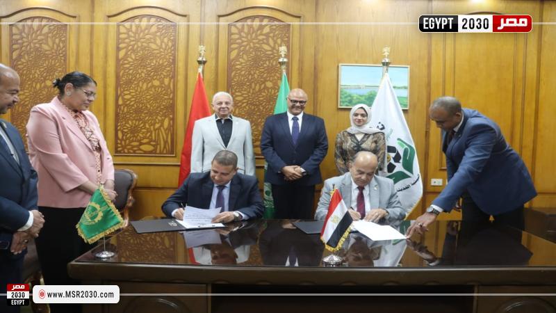محافظ القليوبية
