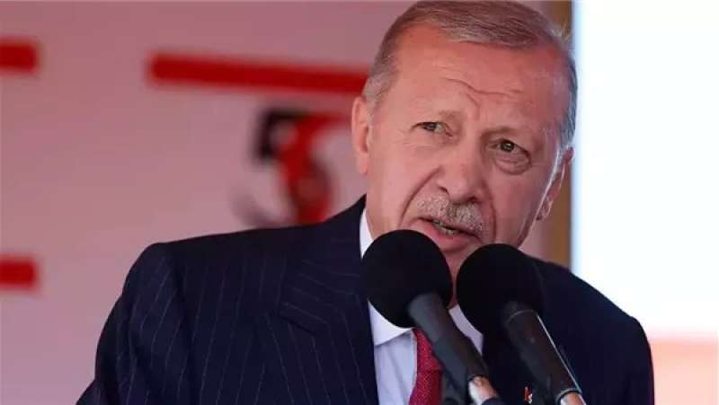 الرئيس التركي رجب طيب أردوغان