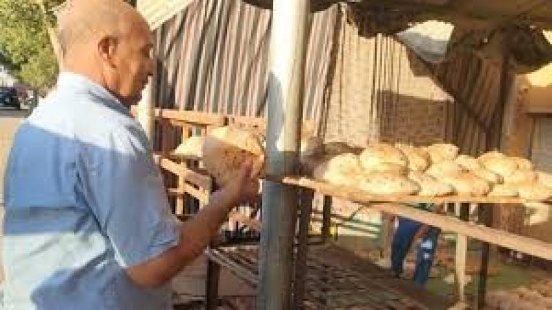 سكرتير شعبة المخابز: دمج الذرة مع القمح لإنتاج الخبز يوفر على الدولة 600 مليون دولار سنويا