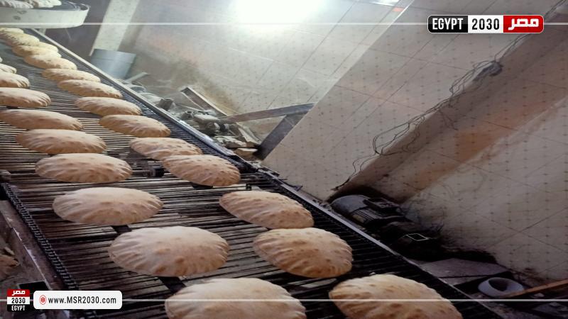محافظ كفرالشيخ