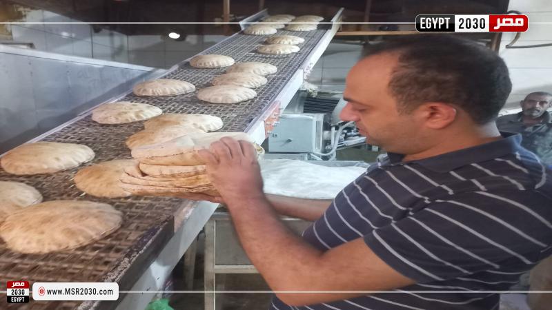 محافظة كفرالشيخ