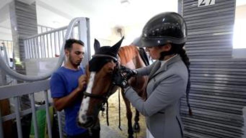 وادى الفروسية