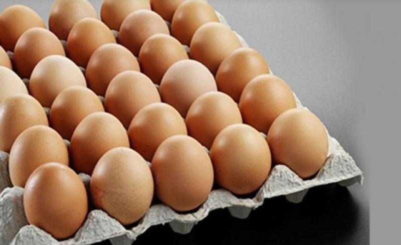 سعر كرتونة البيض اليوم الأحد في المزرعة.. بكام النهاردة