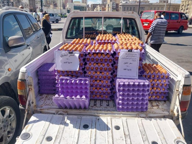 وزارة الزراعة 
