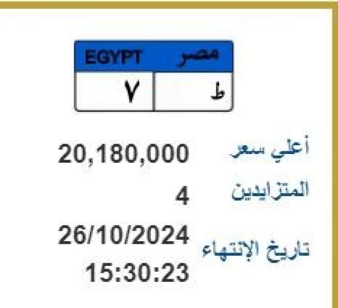  طرح لوحة معدنية  بأكثر من 20 مليون جنيه