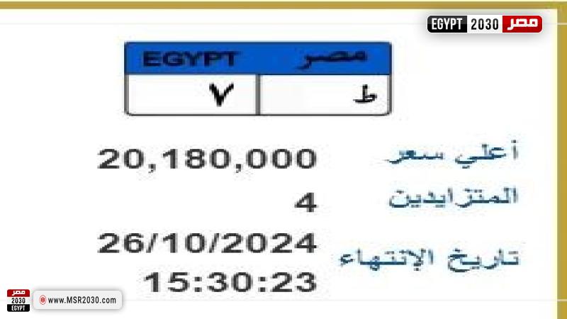 طرح لوحة معدنية بأكثر من 20 مليون جنيه