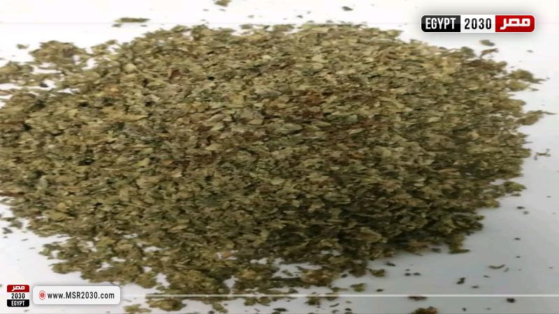 جمارك مطار الغردقة الدولى