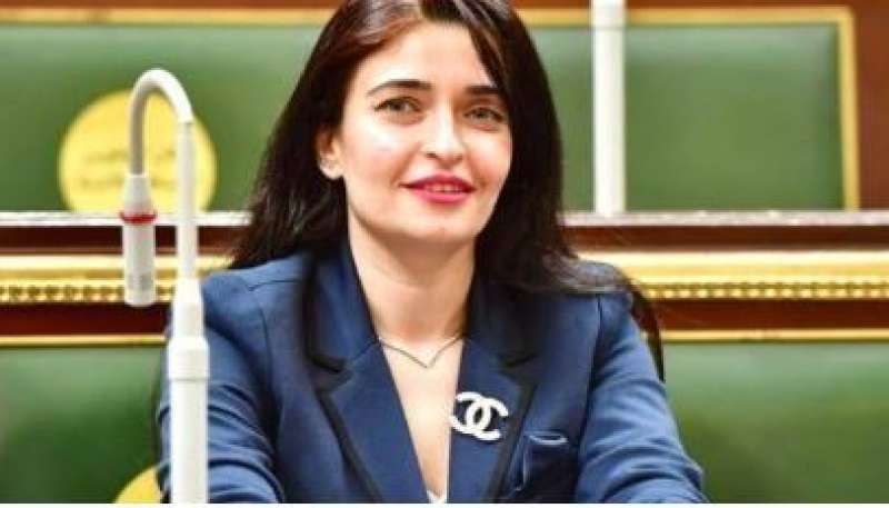 عضو مجلس النواب، إيرين سعيد
