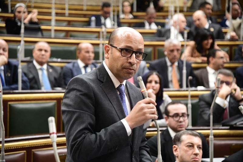 المستشار محمد نشأت ممثل مجلس الدولة