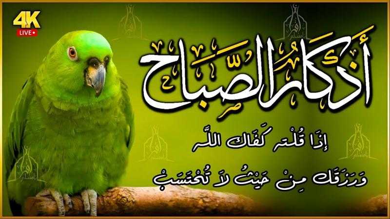 أهمية الأذكار اليومية: راحة قلبية ونفسية وتحصين للبيت