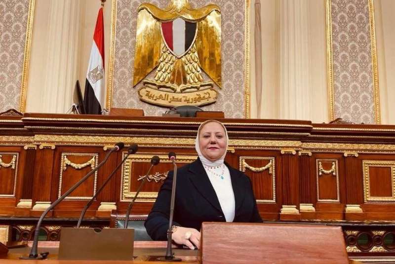 النائبة منال نصر عضو مجلس النواب