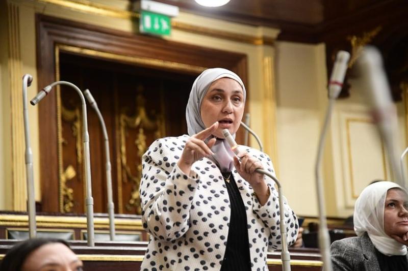 النائبة إيمان الألفي