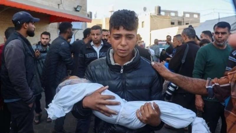 اقتربت من 44 ألف.. ما هي حصيلة شهداء غزة حتى الآن؟