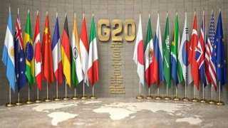 تمويلاتهم لا تتجاوز 0.8%.. صغار المزارعين يسهمون بـ35% من إنتاج الغذاء العالمي