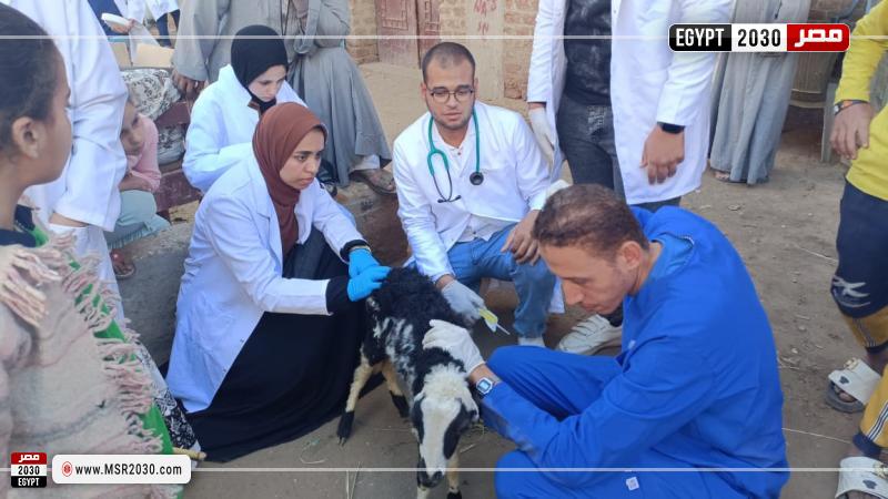 جامعة سوهاج