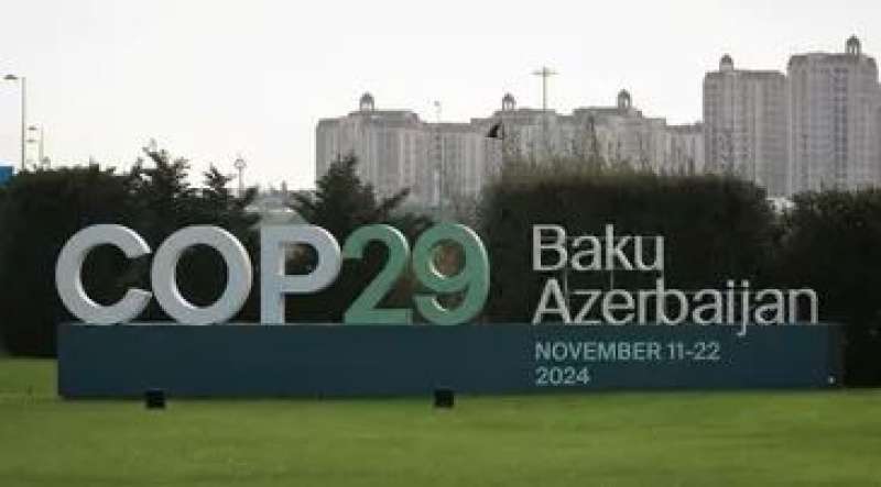 كوب 29