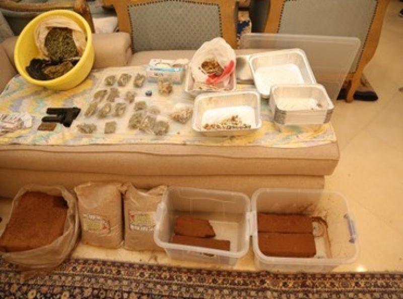 ضبط مزرعة لإنتاج مخدر ”الماجيك مشروم” وترويجه عبر خلطه بالشوكولاتة