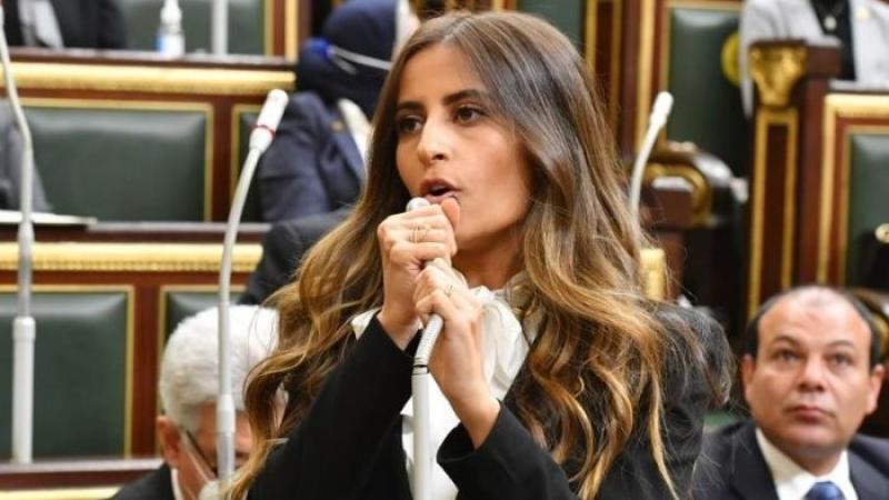 إيلاريا حارص، عضو مجلس النواب