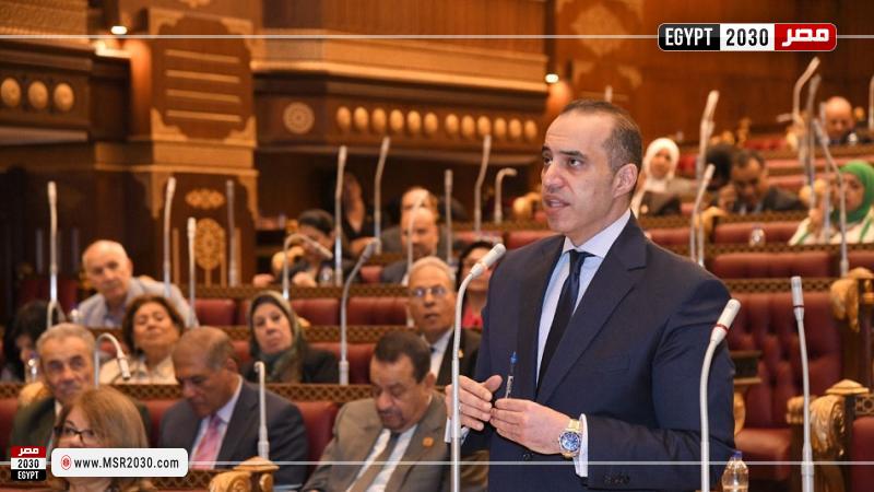 المستشار محمود فوزي بالجلسة العامة لمجلس الشيوخ
