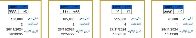 مود ونور وسيف لوحة عربيتك باسمك .. والأسعار تتجاوز نصف مليون جنيه l صور