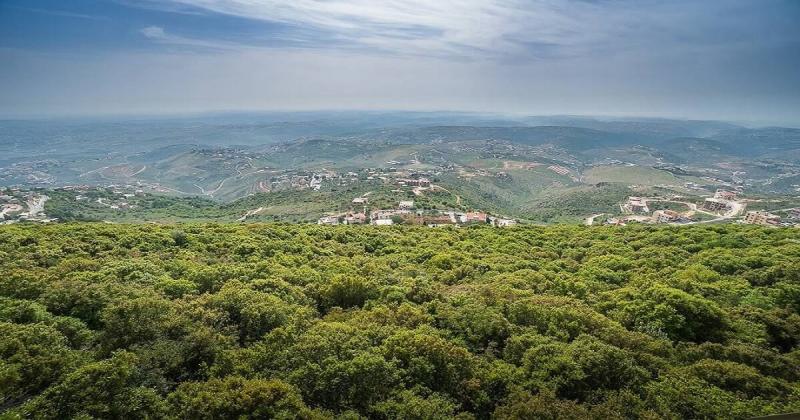 جنوب لبنان 
