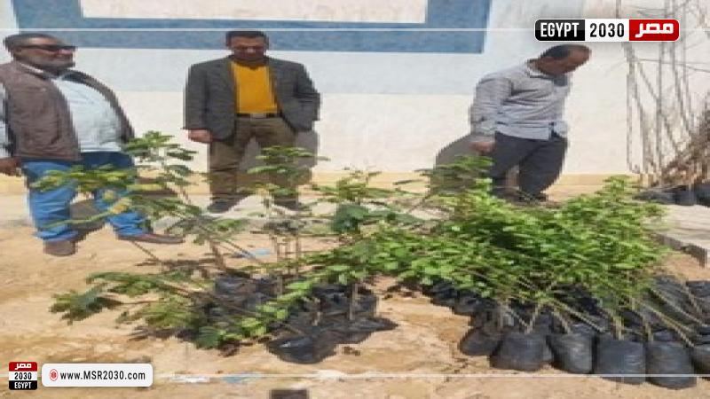 محافظة الإسكندرية