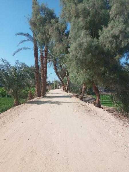 محافظ الأقصر يستجيب لطلبات أهالي البياضية برصف شارع الحبيل الرئيسي