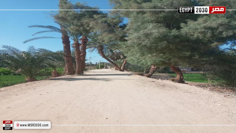 محافظة الأقصر