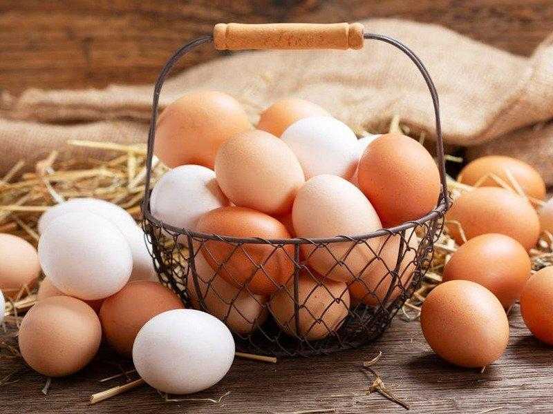 سعر كرتونة البيض اليوم الأحد في المزرعة.. بكام النهاردة
