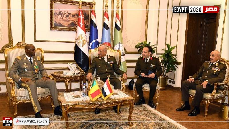 وزير الدفاع يلتقى نظيره المالي