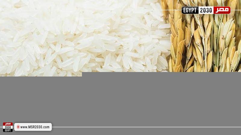 سعر الأرز اليوم