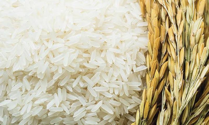 سعر الأرز اليوم