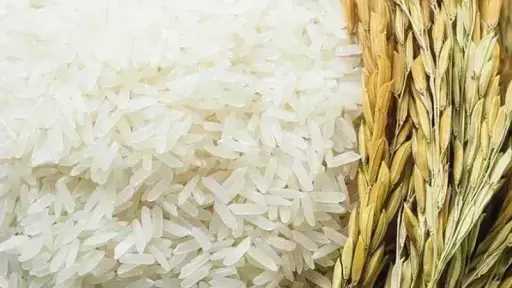 سعر طن الأرز اليوم الثلاثاء عند التاجر.. اعرف وصلت لكام