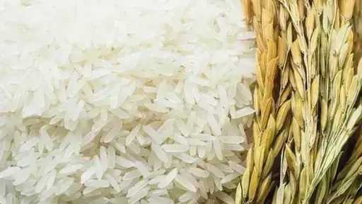 سعر طن الأرز اليوم الأربعاء عند التاجر.. اعرف وصلت لكام