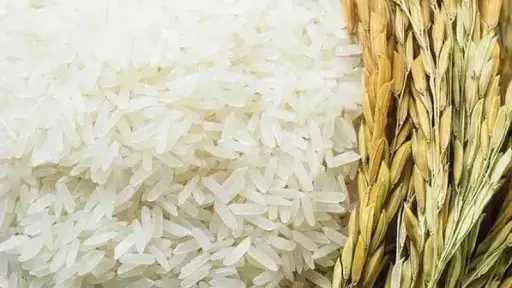 سعر طن الأرز اليوم الخميس عند التاجر.. اعرف وصلت لكام