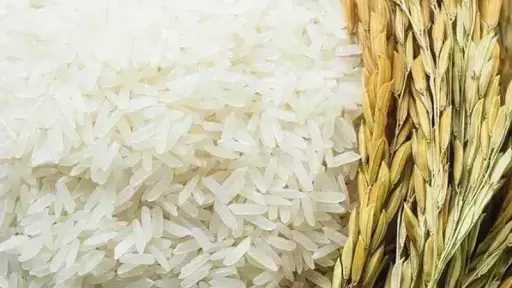 سعر طن الأرز اليوم الخميس عند التاجر.. اعرف وصلت لكام