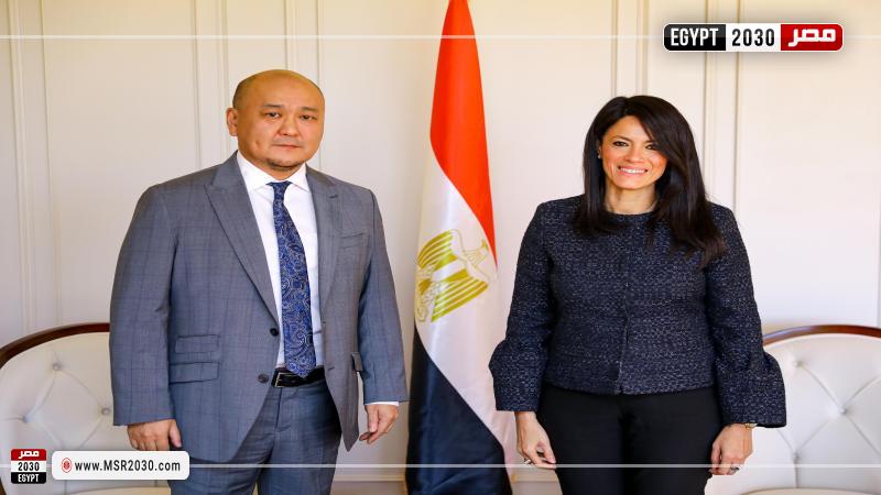 وزيرة التخطيط والتعاون الدولي