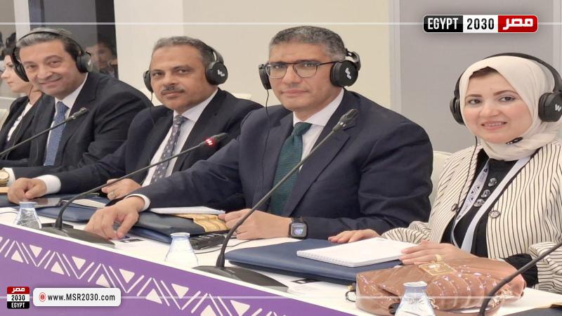 محافظ الجيزة