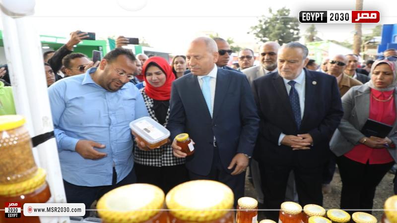 محافظ القاهرة