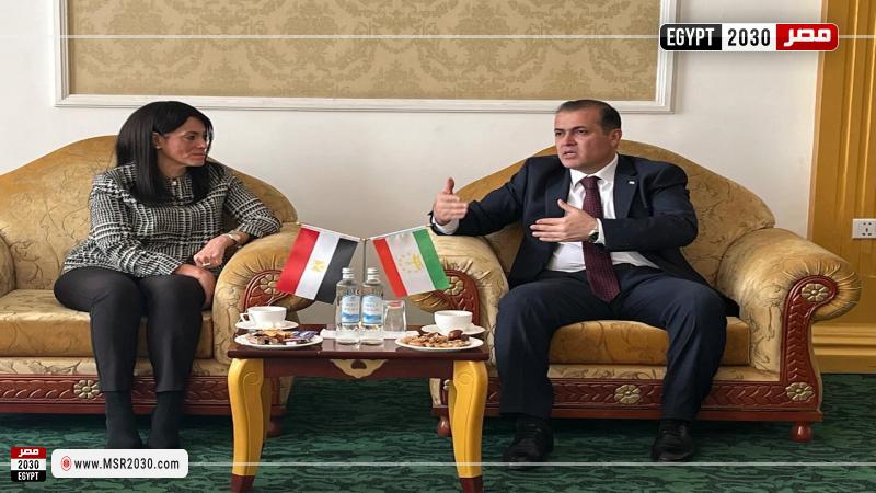 وزيرة التخطيط والتعاون الدولي