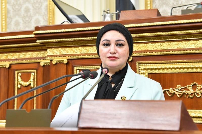 سولاف درويش وكيل لجنة القوي العاملة بمجلس النواب