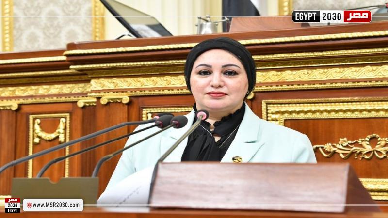 سولاف درويش وكيل لجنة القوي العاملة بمجلس النواب