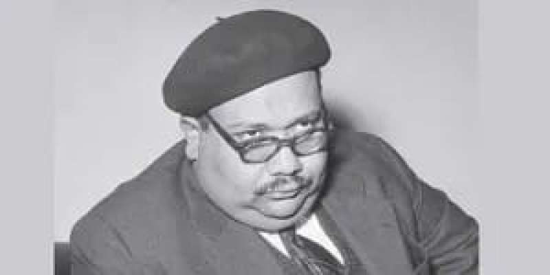 صلاح جاهين